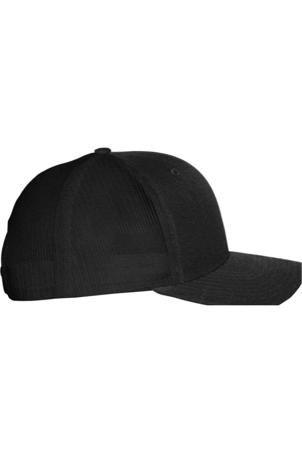 Alternative view of Richardson Snapback Cap