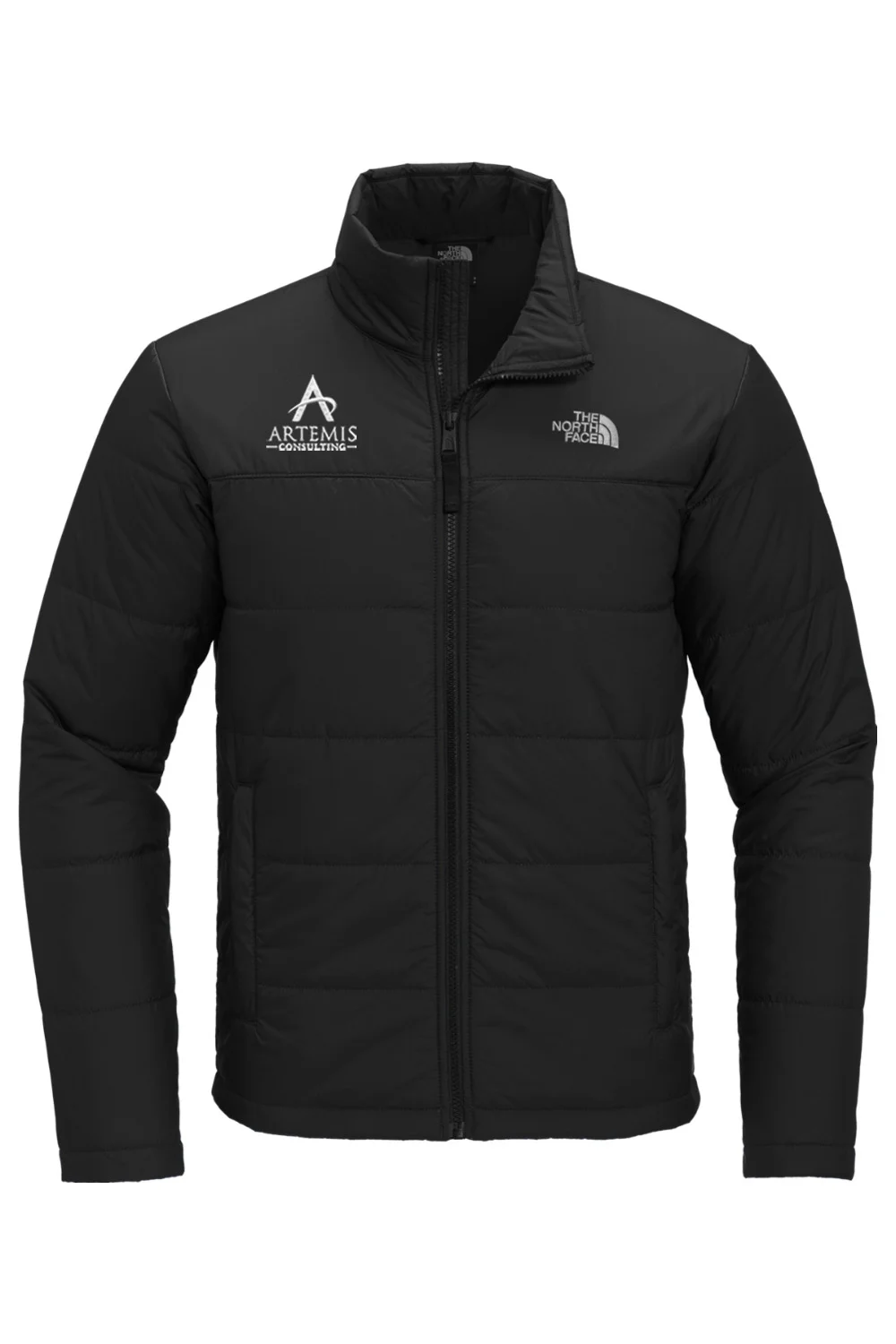 Men's TNF Everyday Insulated Jacket